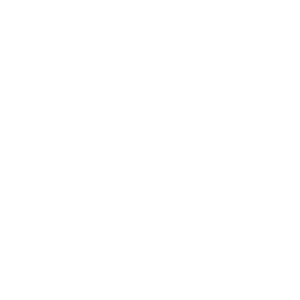 CT-Icon