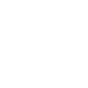 Ultrasound-Icon