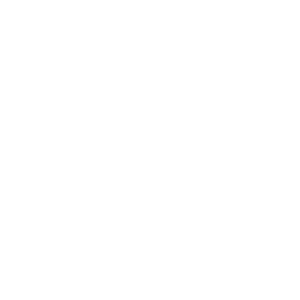 BooneHealth-Therapy-BalanceTherapy-Icon